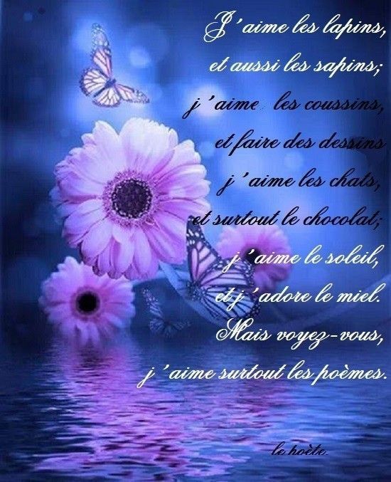 J'aime ...